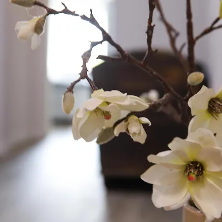 Apartament Julia Kurort Gohrisch