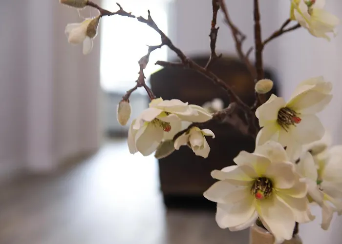 Διαμέρισμα Julia Kurort Gohrisch